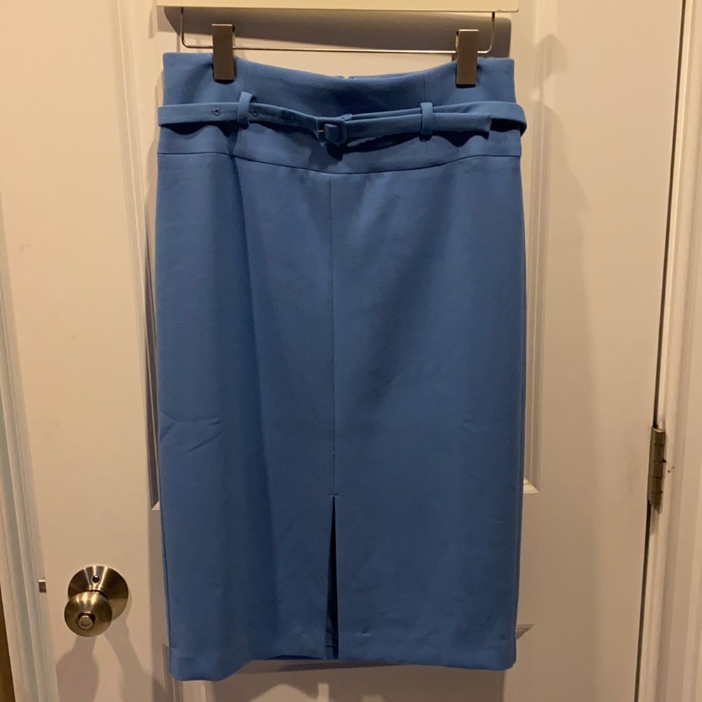 Powder Blue Skirt